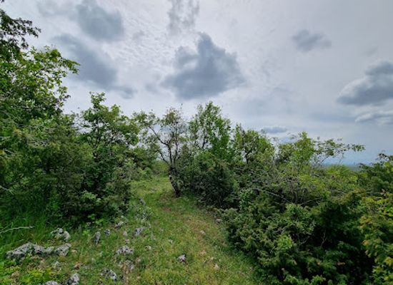 hungary/aggtelek-national-park/attraction/eger-zsomboly
