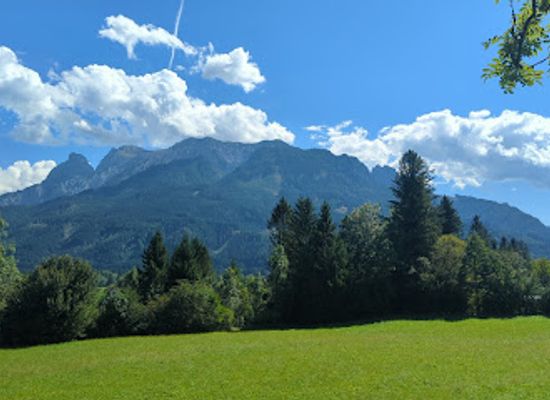 austria/kalkalpen-national-park/attraction/tanzlinde