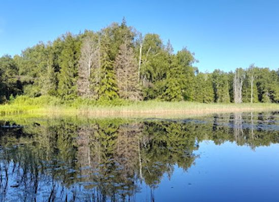 latvia/teici-nature-reserve/attraction/kalnamuizas-ezers-sunu-taka-laimes-laca-taka