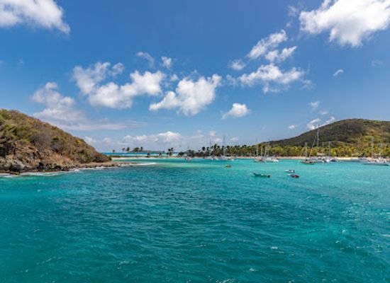 saint-vincent-and-the-grenadines/tobago-cays-marine-park/attraction/saline-beach