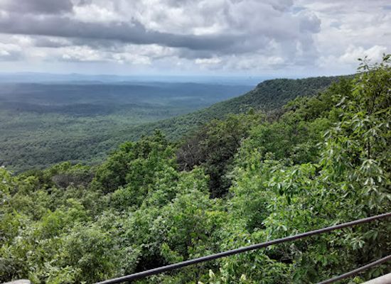 alabama/cheaha-state-park/attraction/cheaha-scenic-lookout