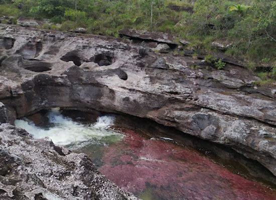 colombia/macarena-range/attraction/la-macarena-botanical-garden