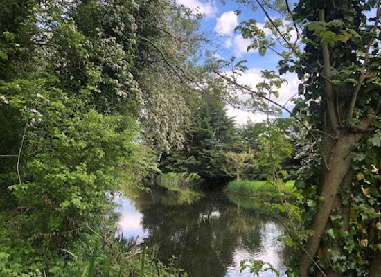 ireland/county-laois/attraction/abbeyleix-bog-project