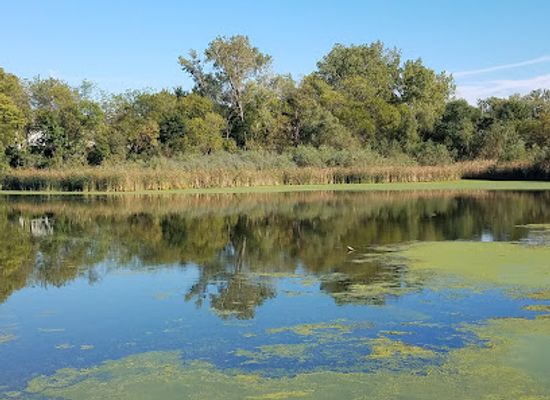 nebraska/pine-ridge/attraction/heron-haven-nature-center