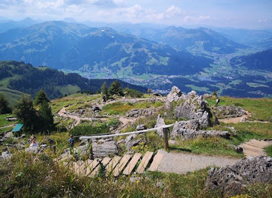 austria/kitzbuhel/attraction/alpine-flower-garden-kitzbuehel-horn