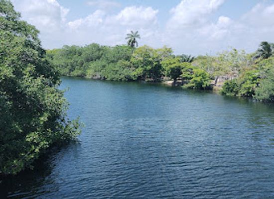 belize/northern-belize/attraction/zona-libre-de-belice-2023