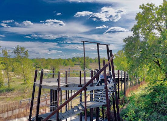 indiana/indiana-dunes-national-park/attraction/indiana-dunes-state-park-bird-observatory