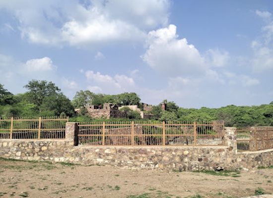 india/ranthambore/attraction/langoor-point