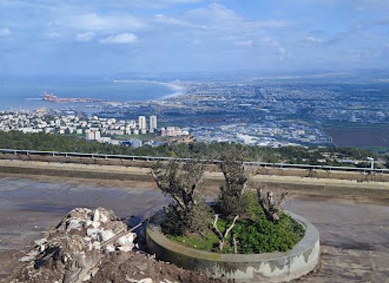 israel/haifa/attraction/hecht-museum