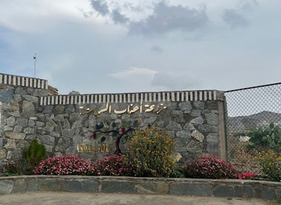 saudi-arabia/asir/attraction/the-vineyard