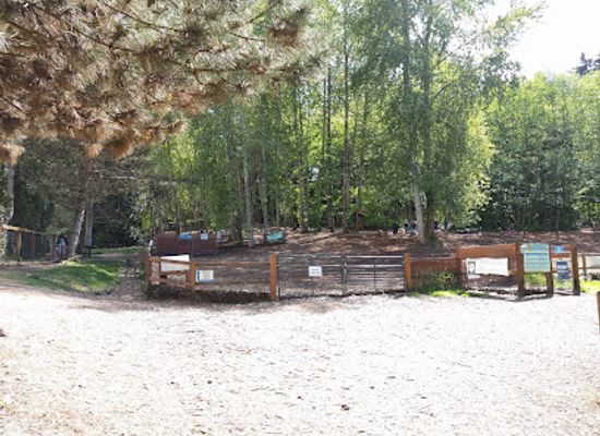 washington/kirkland/attraction/jasper-s-dog-park