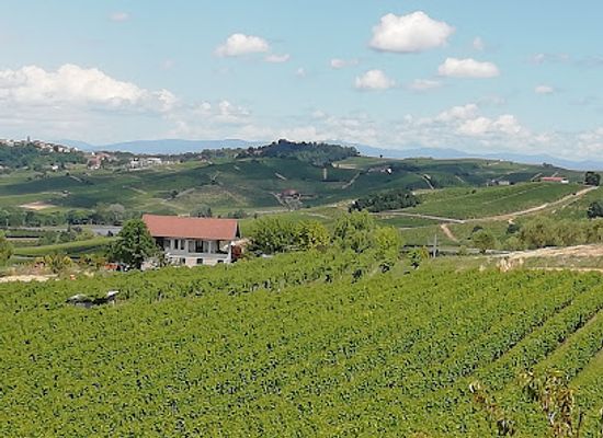 italy/monferrato/attraction/green-big-bench-fontanile