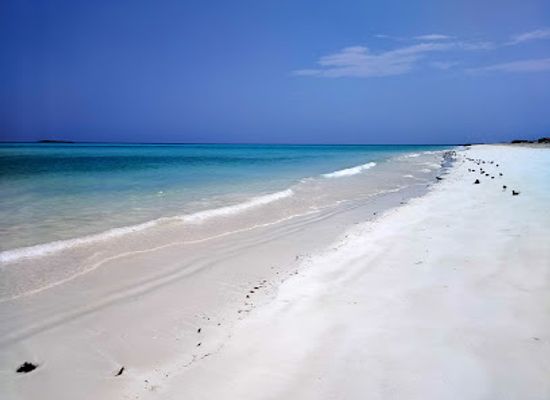 djibouti/obock-region/attraction/le-k-plage-camp-at-moucha-island