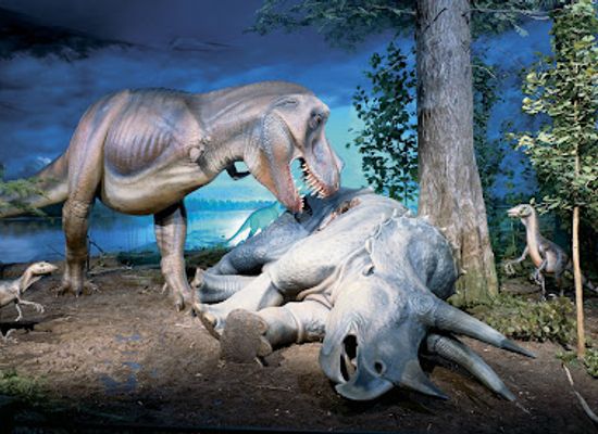 wisconsin/milwaukee/attraction/milwaukee-public-museum