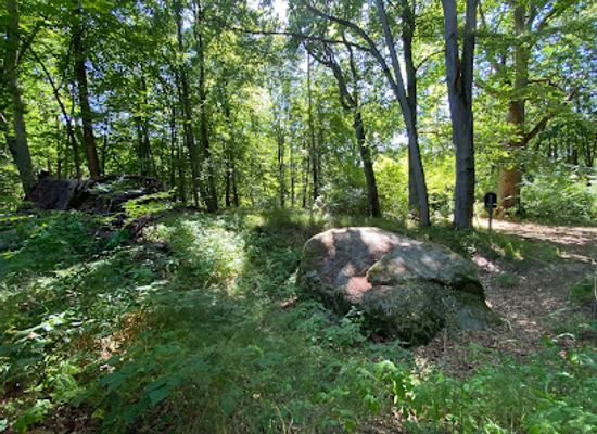 germany/uckermark/attraction/verlobungsstein