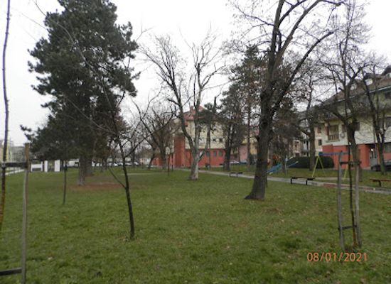 serbia/macva/attraction/sabac-park