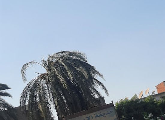 egypt/asyut/attraction/public-faith-garden
