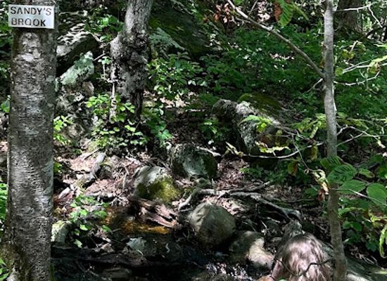 rhode-island/washington-county/attraction/crawley-preserve