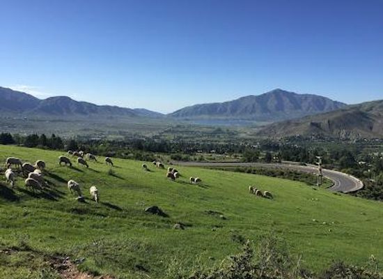 argentina/northwest-argentina/attraction/tafi-del-valle