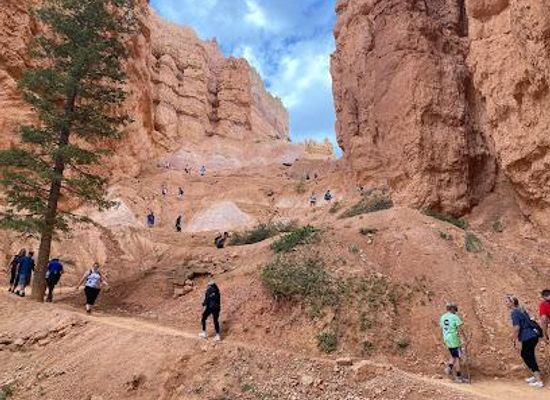 utah/bryce-canyon-national-park/attraction/navajo-loop-switchback