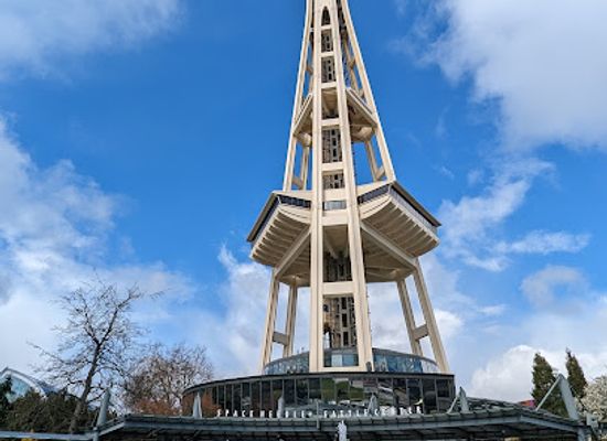 washington/seattle/attraction/seattle-s-iconic-space-needle-tower