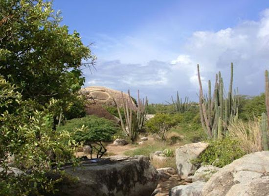 aruba/mangel-halto/attraction/cunucu-arikok