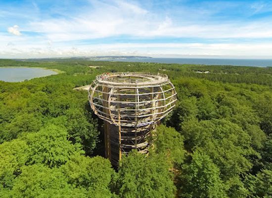 germany/rugen-island/attraction/baumwipfelpfad-im-naturerbe-zentrum-rugen