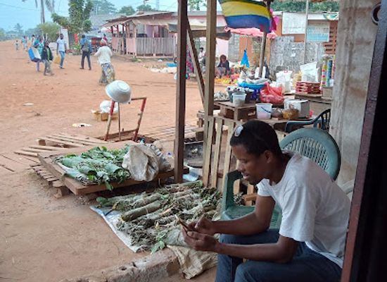gabon/akanda-national-park/attraction/anpn-cellule-scientifique