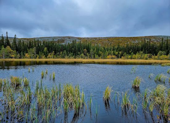sweden/harjedalen/attraction/fulufjallet-national-park