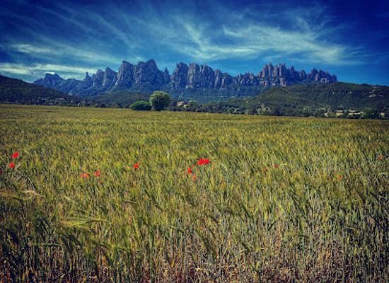 spain/catalonia/attraction/pla-de-masroig