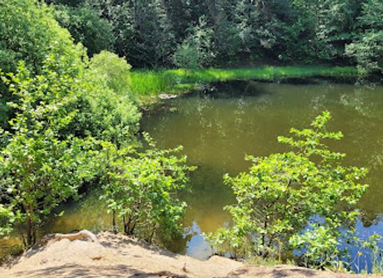 poland/kielce/attraction/biesak-bialogon-nature-reserve