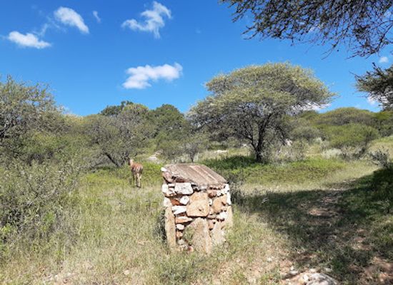 south-africa/polokwane/attraction/polokwane-nature-reserve