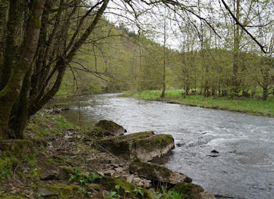 luxembourg/eislek/attraction/eislek-pad-kalborn