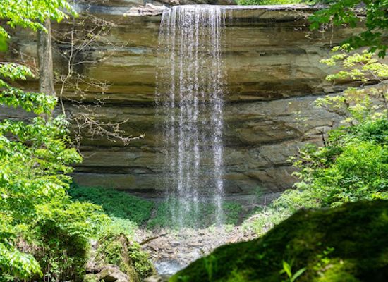 indiana/morgan-monroe-state-forest/attraction/clifty-falls-state-park