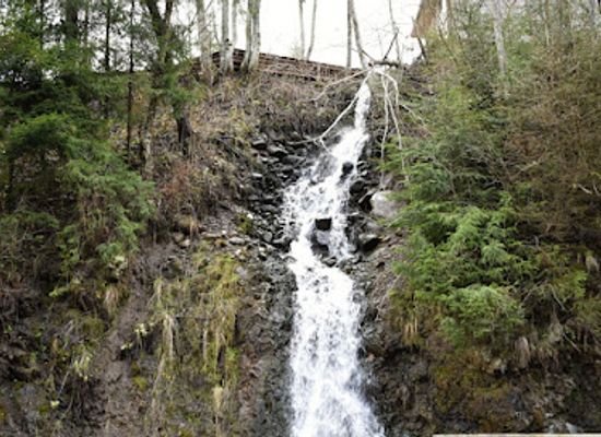 romania/bistrita-nasaud/attraction/waterfall-grizzlisor