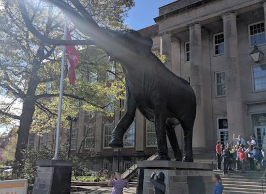 nebraska/central-nebraska/attraction/university-of-nebraska-state-museum-morrill-hall