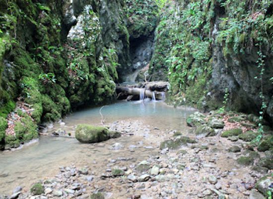 croatia/zumberak-mountains/attraction/zeleni-vir