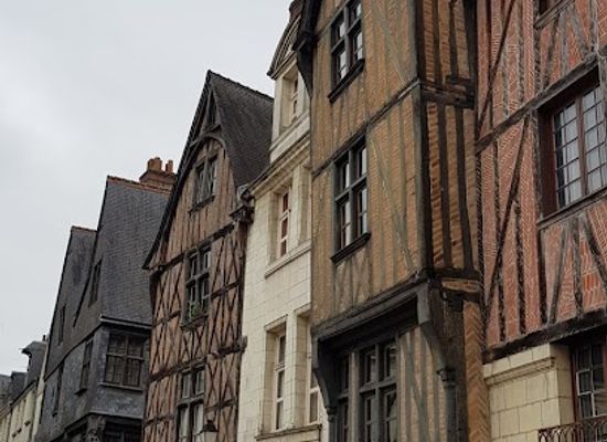 france/tours/attraction/museum-of-natural-history-of-tours