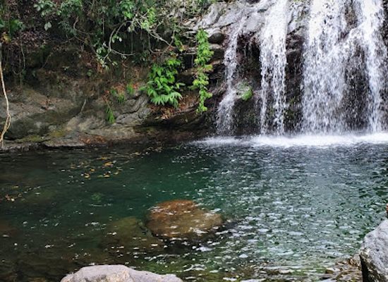 jamaica/south-coast/attraction/fish-dunn-fall-s