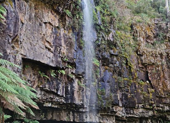 australia/high-country/attraction/bindaree-falls