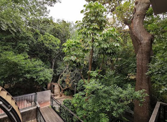 south-africa/table-mountain-national-park/attraction/josephine-mill-museum