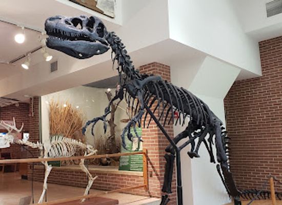 indiana/richmond/attraction/joseph-moore-museum