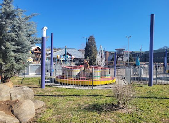 tennessee/great-smoky-mountains/attraction/ripley-s-super-fun-park