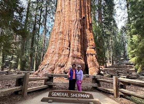 california/sequoia-national-park/attraction/general-sherman-tree