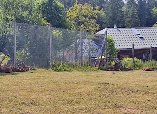 france/franche-comte/attraction/parc-polaire