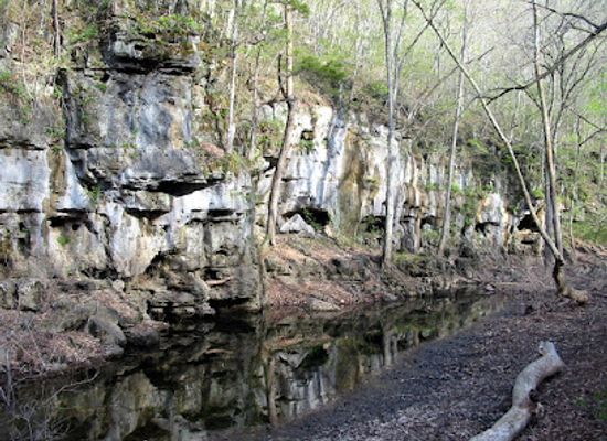 missouri/mark-twain-national-forest/attraction/irish-wilderness
