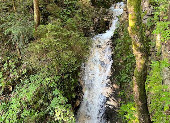 austria/alpbachtal/attraction/wildwasserlauf