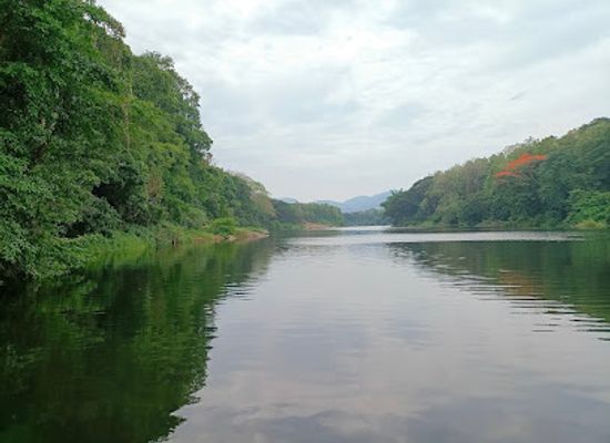 india/malabar-coast/attraction/conolly-s-plot