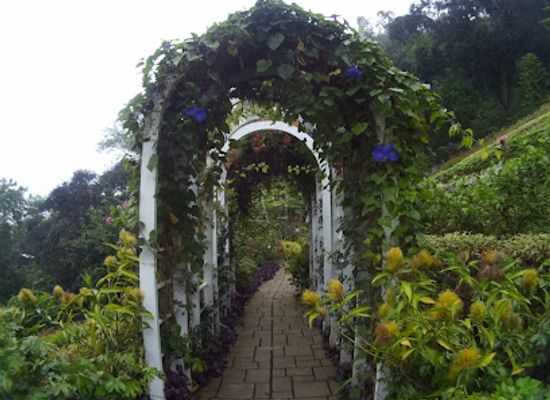 philippines/cebu/attraction/terrazas-de-flores-botanical-garden