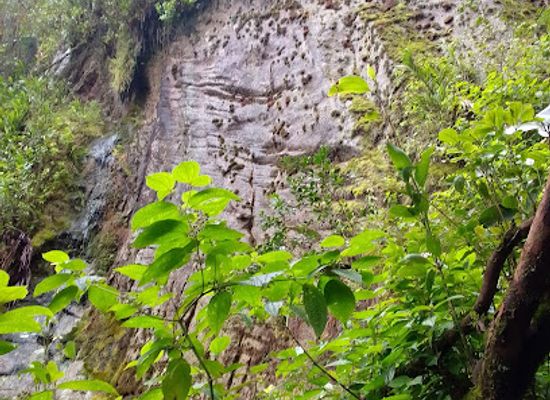 seychelles/felicite-island/attraction/morne-seychellois-trail